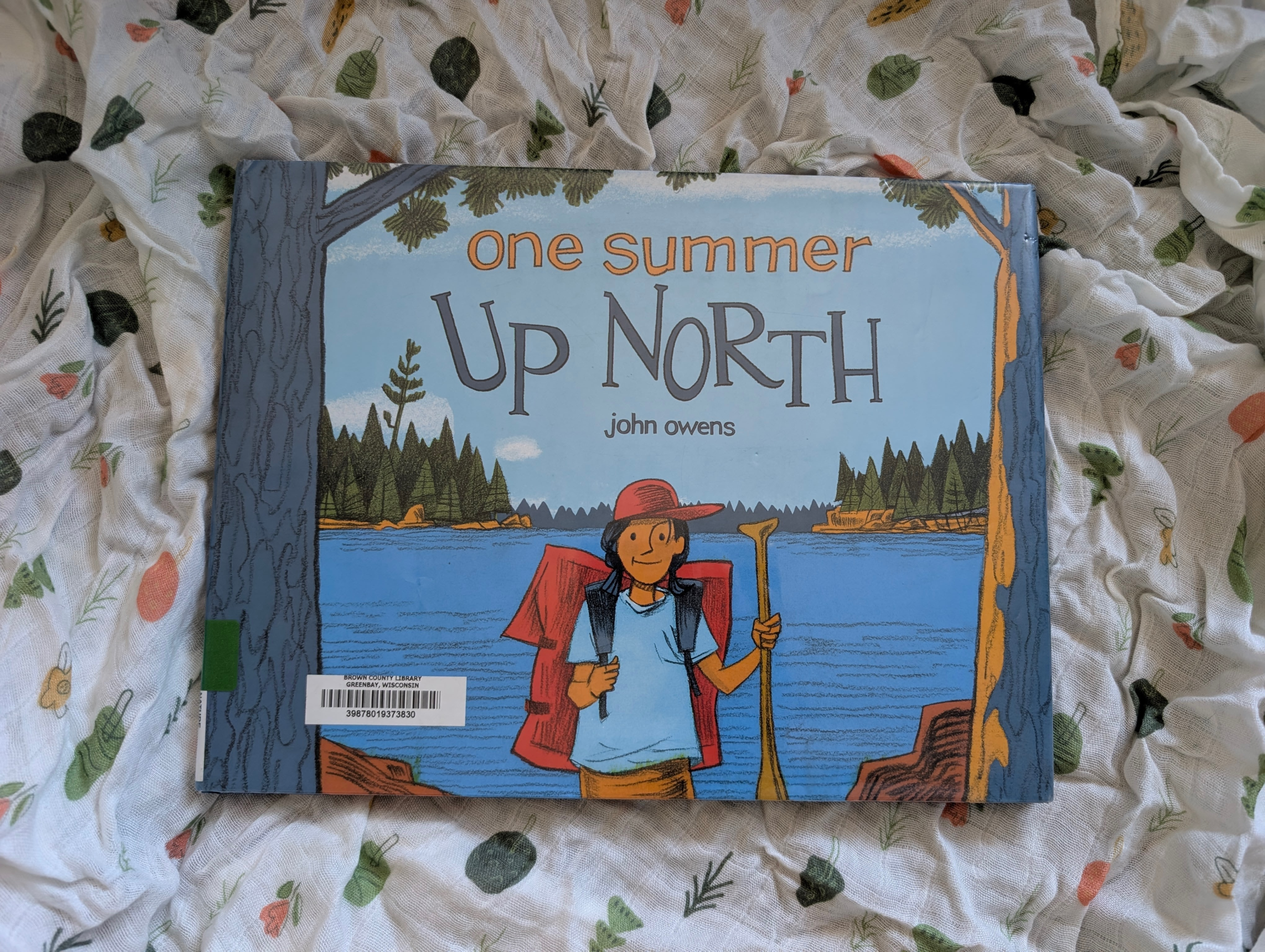 “One Summer Up North” by John Owens: Book Review