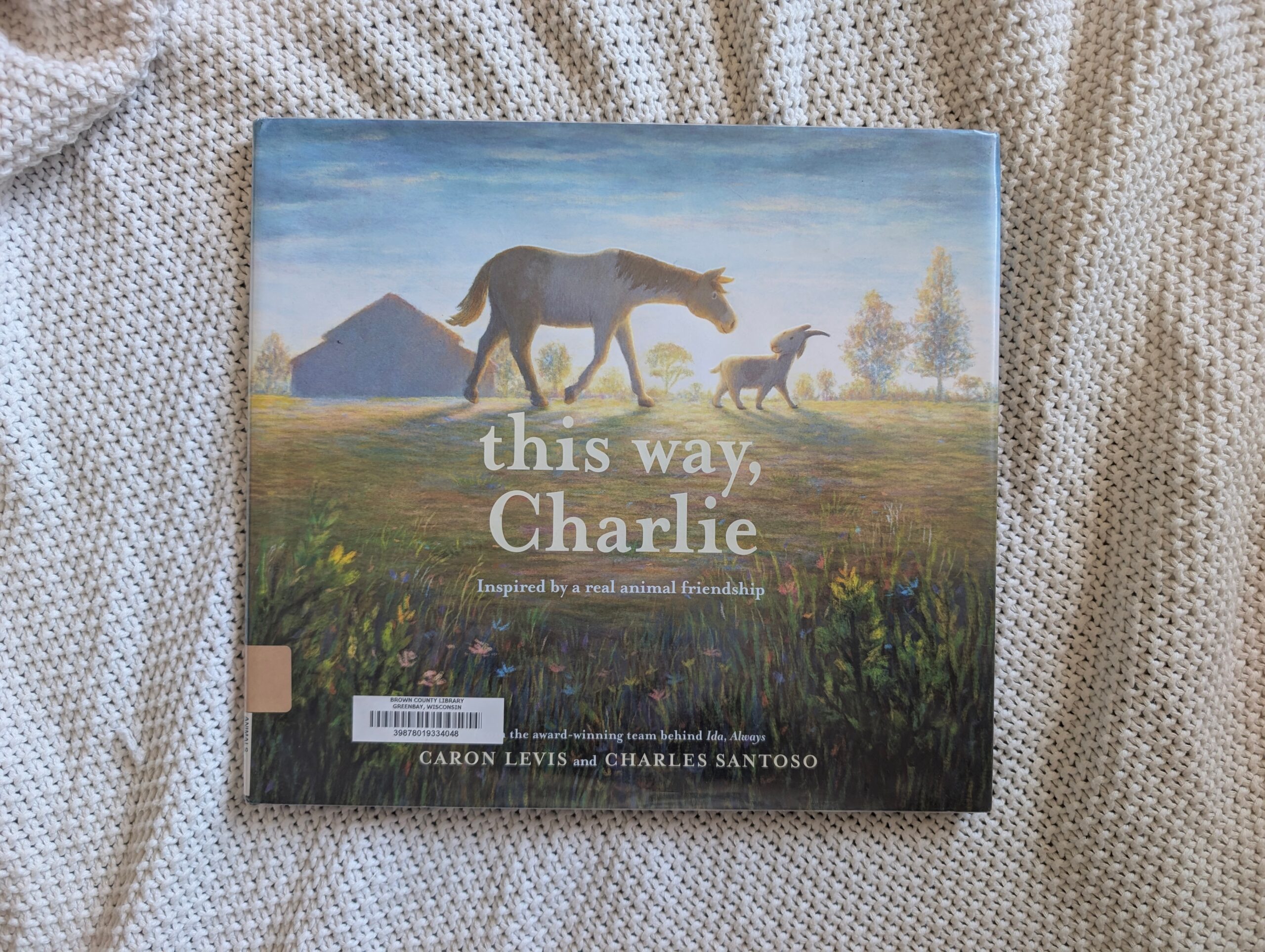 This Way, Charlie picture book by Caron Levis and Charles Santoso